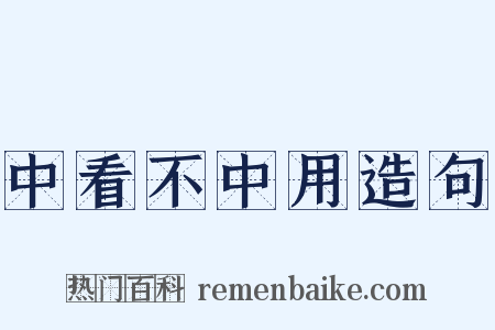 中看不中用造句是什么意思的图片